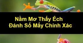 Nằm mơ thấy ếch là điềm báo gì?