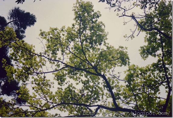 image0231