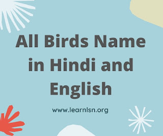 Birds Name Hindi and English