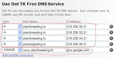  Using Dot.tk domain in Blogger