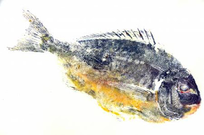Print of a Fish