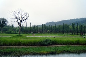 DSCF9175