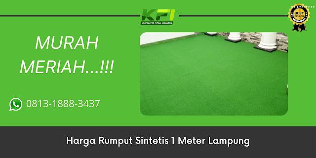 Harga Rumput Sintetis 1 Meter Lampung