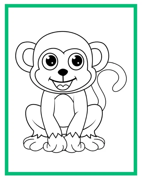 Color Cute Animals