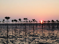 IMD, Japanese govt, UNDP launch joint project to accelerate climate action in India.