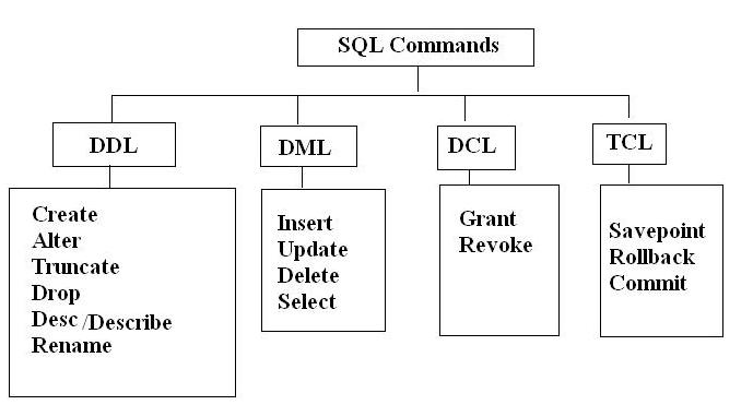 Sql ddl dcl dml