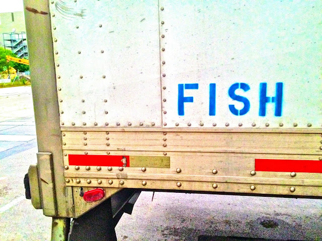 fish