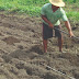 Pagamento do Garantia Safra para 375 agricultores familiares de Guajará e Envira iniciou nesta terça-feira (18/03)
