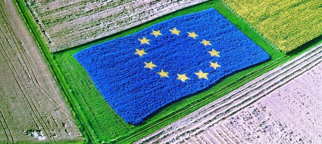 Ευρωπαϊκή Κοινή Αγροτική Πολιτικά