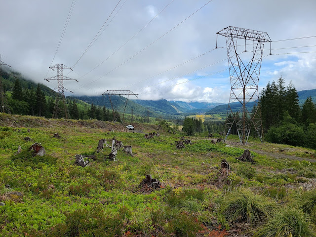 Mt. Hood off-roading