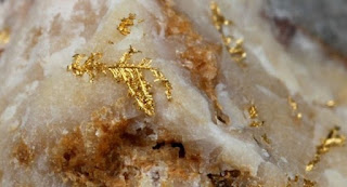 electrum gold variety on quartz