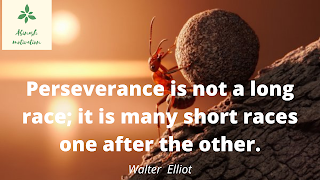 motivation quotes,perseverance