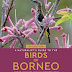 Naturalist's Guide to the Birds of Borneo - 3rd Edition