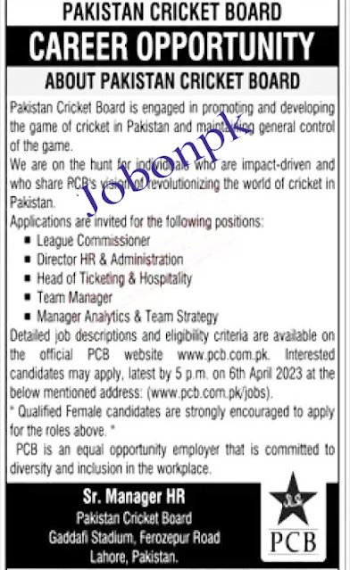 PCB  Jobs 2023 | Pakistan Cricket Board  Online Apply