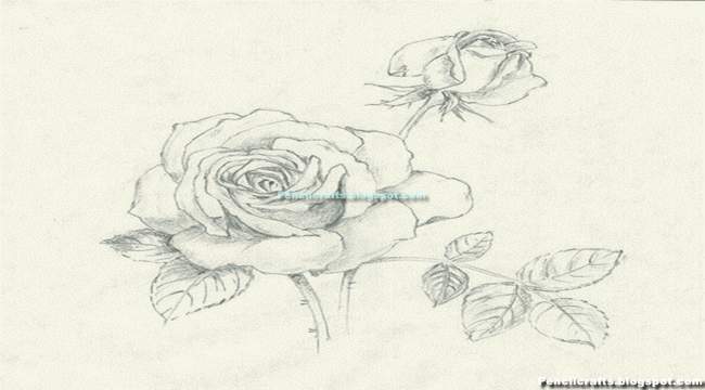 Drawings Of Hearts And Roses