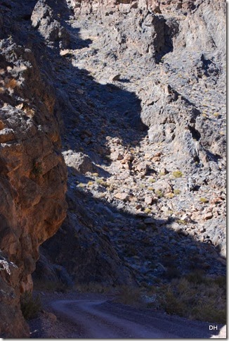 11-08-13 A DV 4x4 Titus Canyon Road (283)