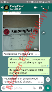 Testimoni Master Essen Katilayu Ikan Patin