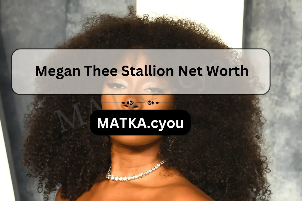 Megan Thee Stallion Net Worth