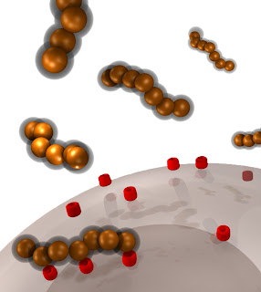 Segmented nanoworms