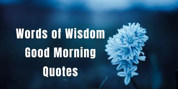words of wisdom good morning quotes