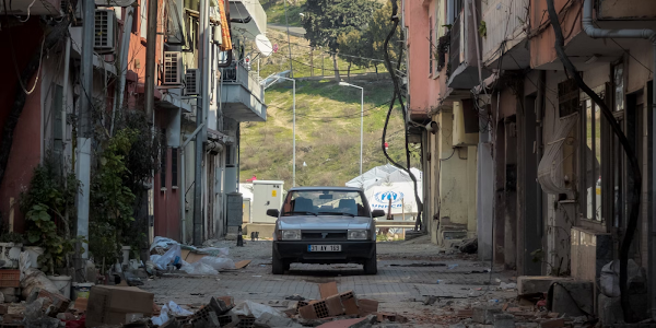 Can Animals Predict Earthquakes? Fact or Fiction?
