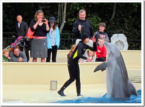 mgm grand dolphins secret garden