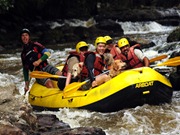 Pet's 5 (142_1) (6)
