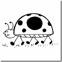 insecto pintar (2)