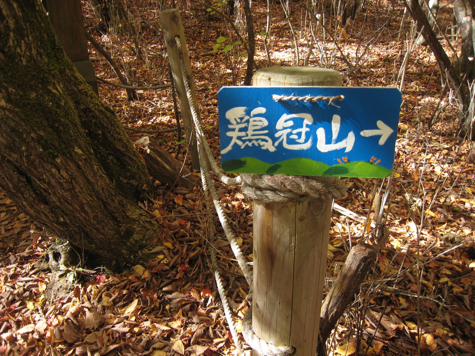 とことこexplorer 28 笛吹川東沢釜ノ沢東俣 前編