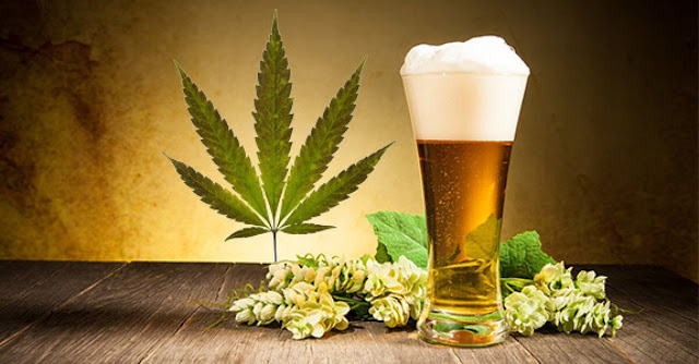 Cannabis Beverage Market