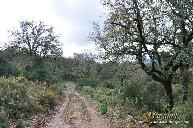 Garganta de la Pulga (nuevo trazado)