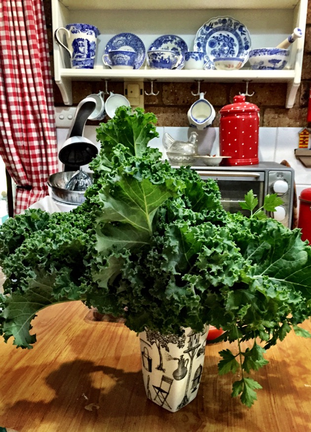 Winter cooking on a cold day