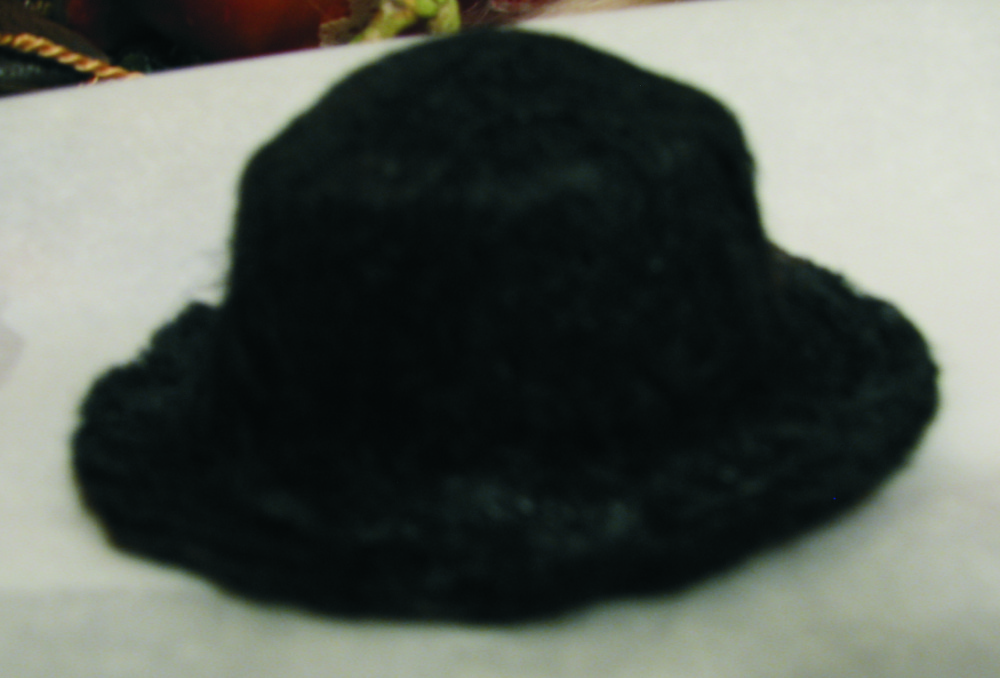 charlie chaplin hat and cane. Here the hat is drying out a