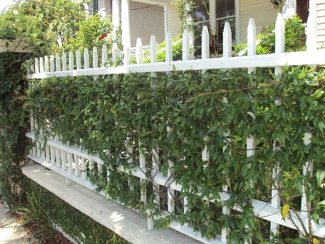 picket fence gate plans