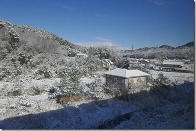 119-P1020784_day2