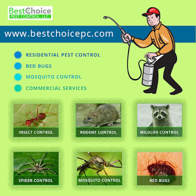 Pest Control Service in Ohio