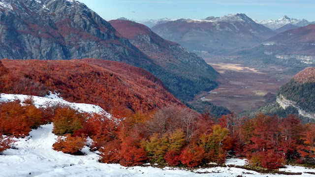 the fall colors of Patogonia