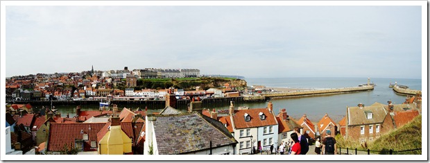 Whitby from the steps
