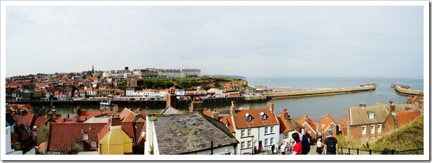 Whitby from the steps