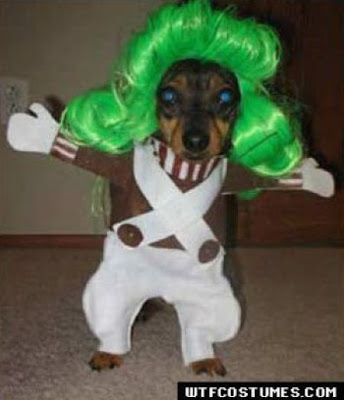 Crazy Halloween Costumes for Dogs
