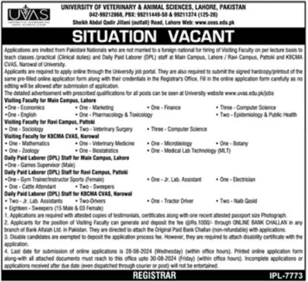University of Veterinary and Animal Sciences UVAS Management Jobs In Lahore 2024