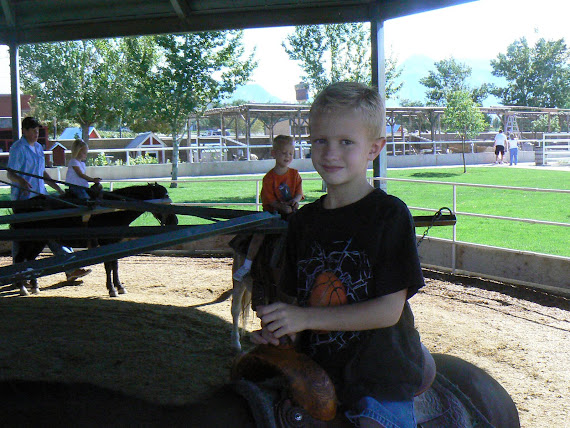 Horse Ride at Thanksgiving Point