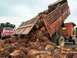 Lowongan Kerja Terbaru 2013 PT PP London Sumatra Indonesia (LSIP) - D3 dan S1 Lowongan Kerja Terbaru 2013 PT PP London Sumatra Indonesia (LSIP) - D3 dan S1