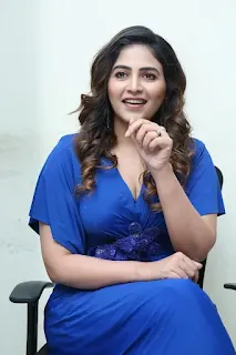 Anjali at Game Changer press meet in a stunning look