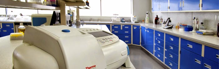 giám định adn giám định adn