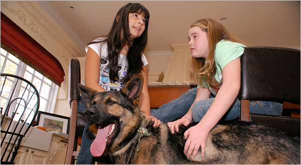 The curious case of Congo, an 85-pound German shepherd 