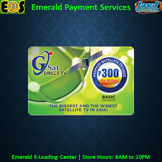 GSAT300