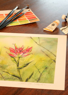 Indian Paintbrush Giclee Fine Art Print Watercolor Artwork of Montana wildflowers