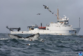 NOAA research vessel NANCY FOSTER