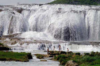 the yellow fruit tree waterfall